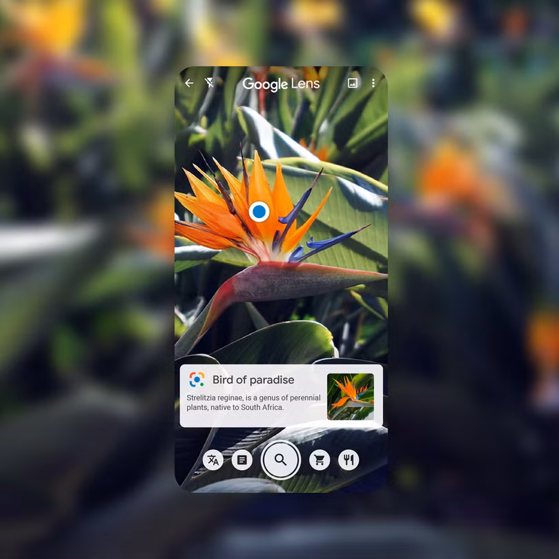 Ứng dụng Google Lens ứng dụng AR, đưa kết quả tìm kiếm nhanh về đối tượng trong thời gian thực.