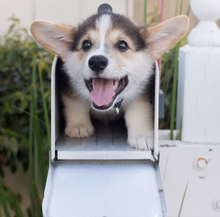 Ảnh: BrightSide Ảnh: BrightSide