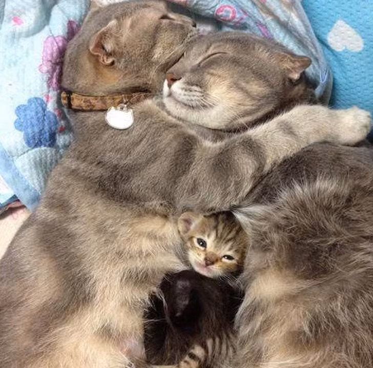 Ảnh: BrightSide Ảnh: BrightSide