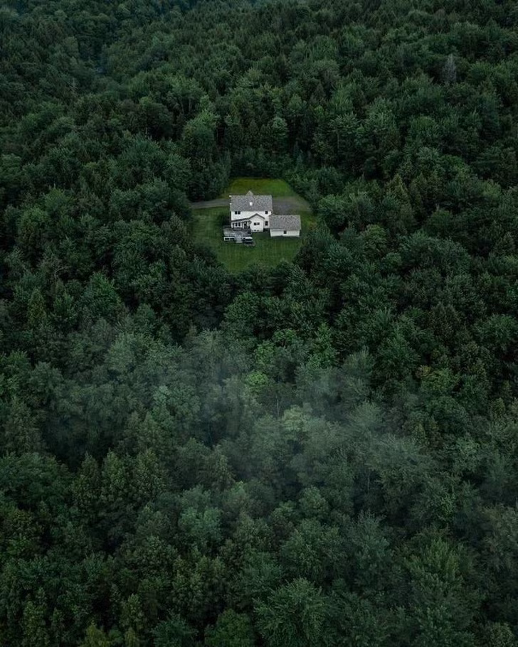 Ảnh: BrightSide Ảnh: BrightSide