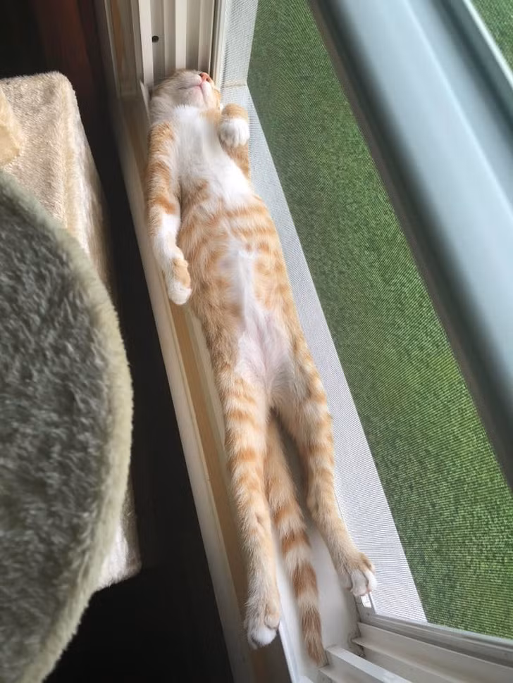 Ảnh: BrightSide Ảnh: BrightSide
