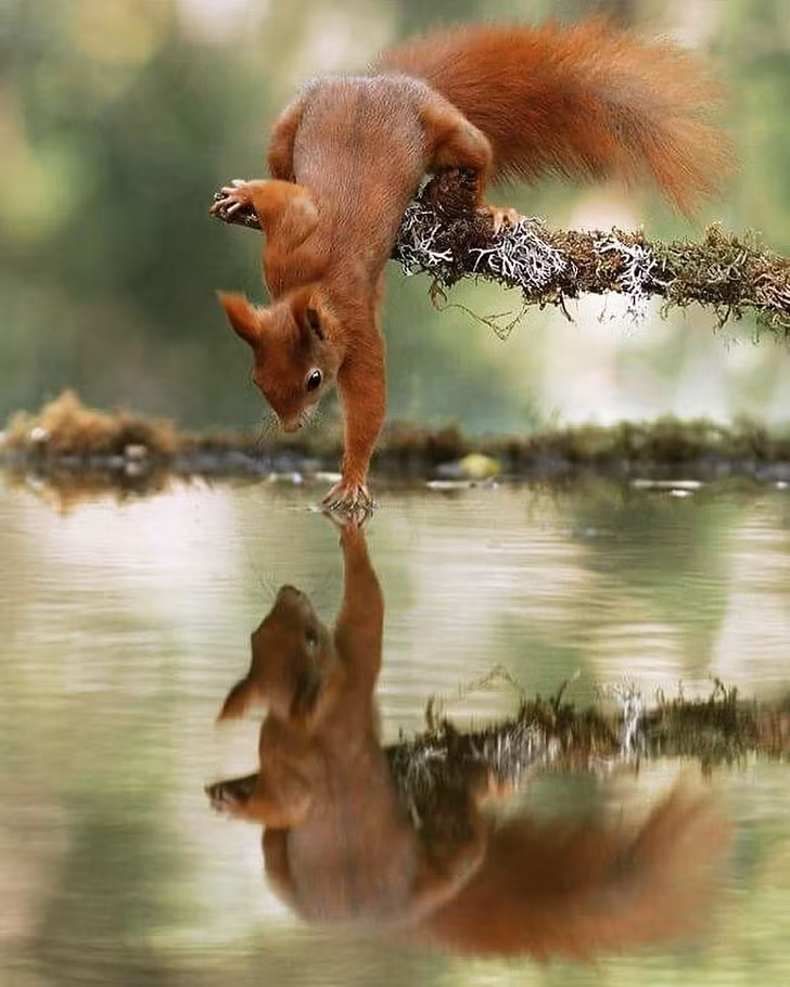 Ảnh: BrightSide Ảnh: BrightSide