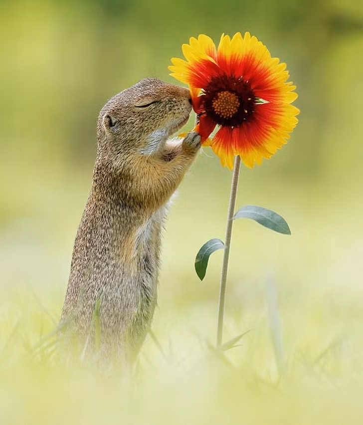 Ảnh: BrightSide Ảnh: BrightSide