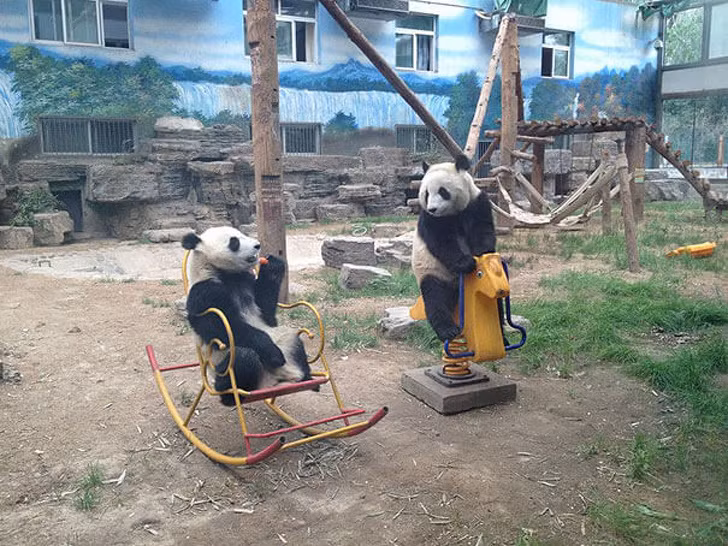 Ảnh: BrightSide Ảnh: BrightSide