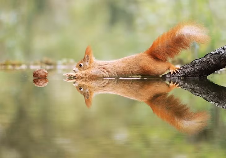 Ảnh: BrightSide Ảnh: BrightSide