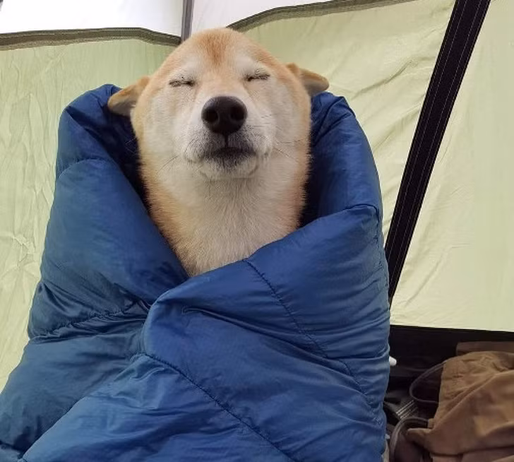 Ảnh: BrightSide Ảnh: BrightSide
