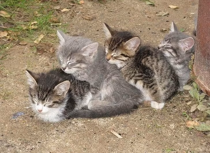 Ảnh: BrightSide Ảnh: BrightSide