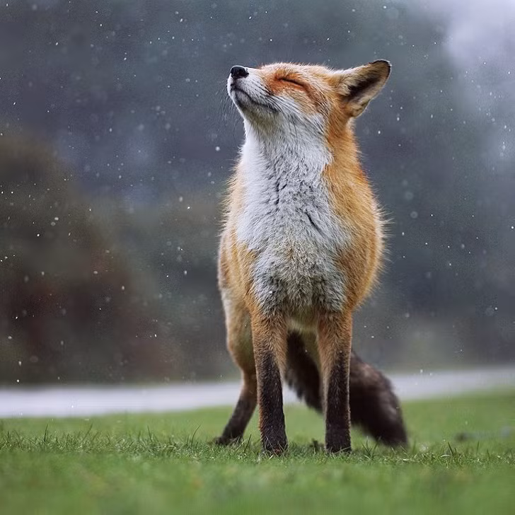 Ảnh:BrightSide Ảnh:BrightSide