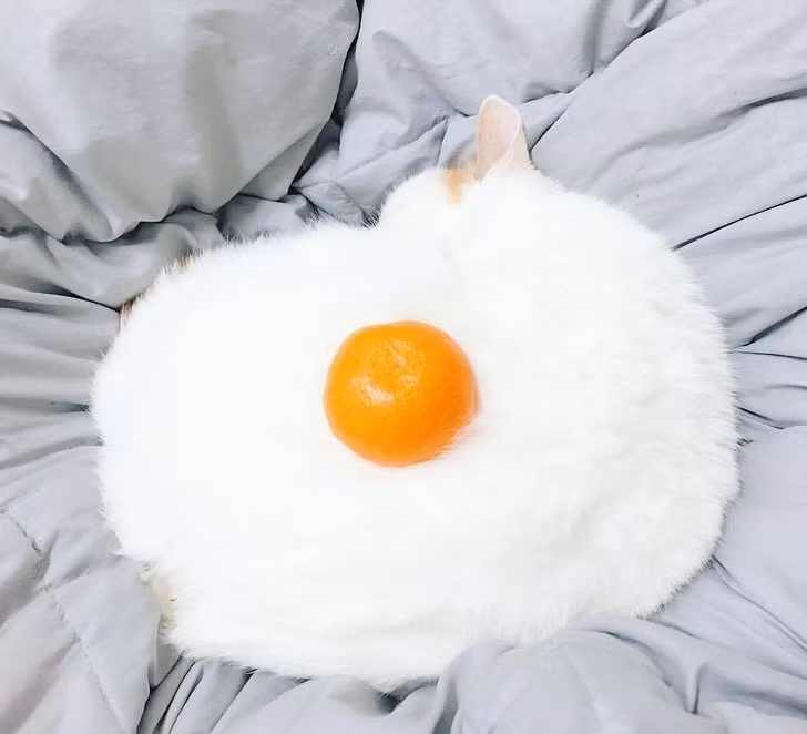 Ảnh: BrightSide