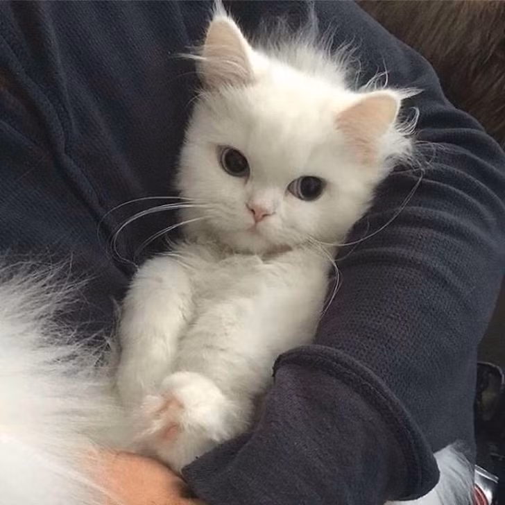 Ảnh: BrightSide Ảnh: BrightSide