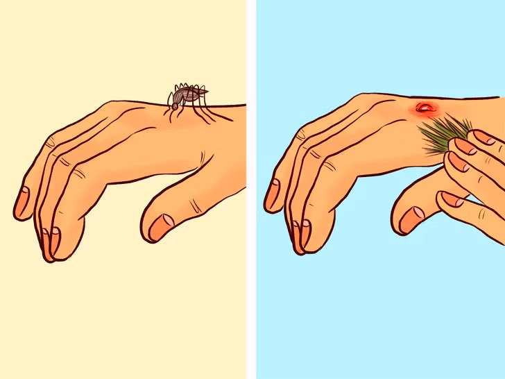 Ảnh: BrightSide