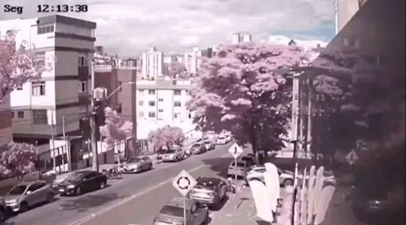 Ảnh cắt từ clip.