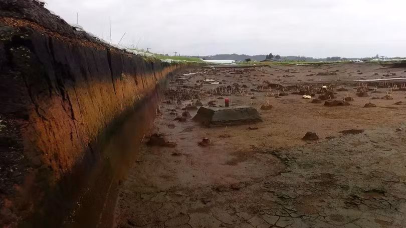 Trầm tích núi lửa Kikai-Akahoya ở phía nam Kyushu. Ảnh: ĐH Lund.