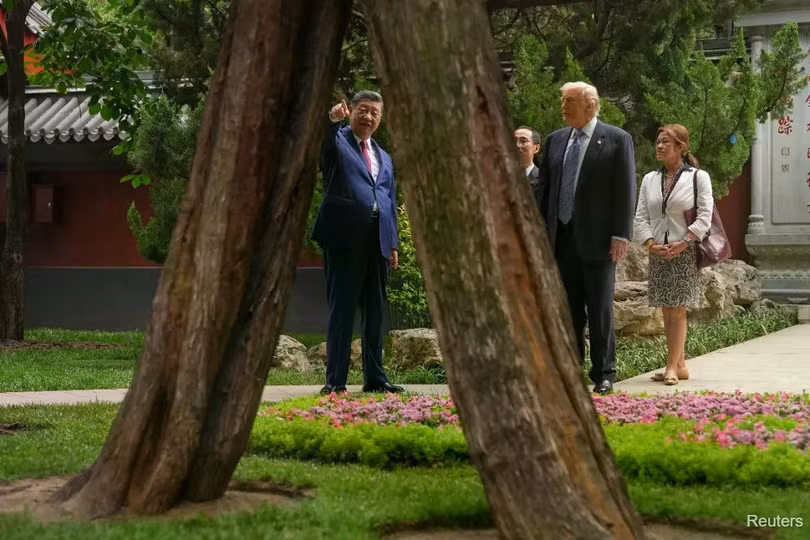 Tổng thống Mỹ Donald Trump đi dạo cùng Chủ tịch Trung Quốc Tập Cận Bình tại Trung Nam Hải ở Bắc Kinh hôm 15/5, nơi ông Trump được giới thiệu một số cây cổ thụ hàng trăm năm tuổi. Ảnh: Reuters.