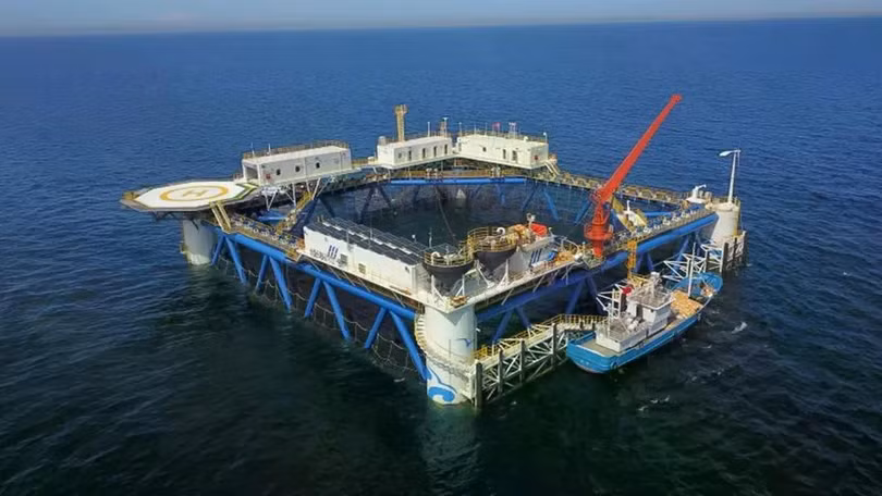 Giàn năng lượng mặt trời nổi làm bằng tre của CIMC Raffles ngoài khơi Yên Đài, Trung Quốc. Ảnh: CIMC.