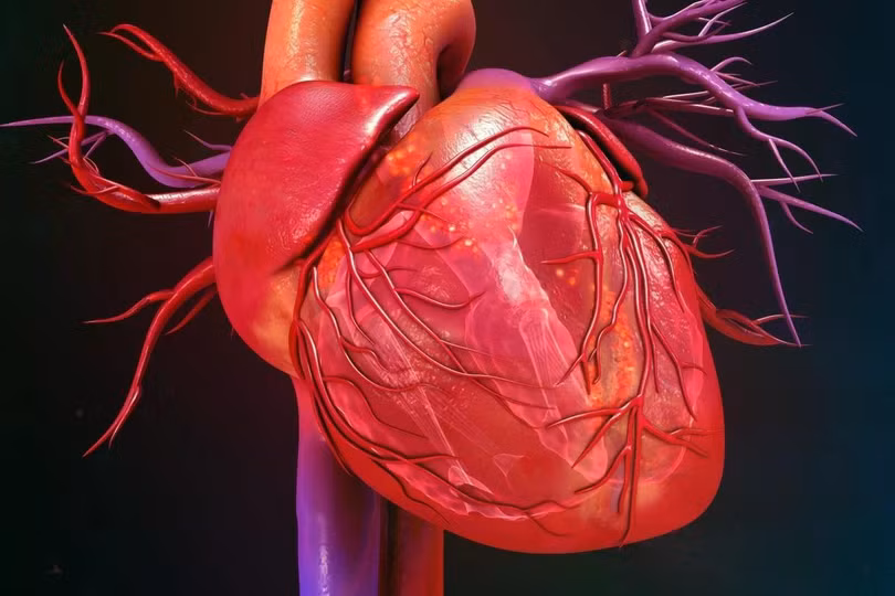 Bệnh nhân suy tim nặng có thể bị khó thở sau khi đi bộ chỉ vài bước, không thể nằm thẳng và ngủ vào ban đêm, và phải thường xuyên đến bệnh viện. Ảnh: Shutterstock.