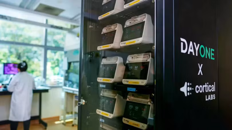 Mô hình trung tâm dữ liệu sinh học tại Viện Khoa học Sự sống NUS. Ảnh: NUS.
