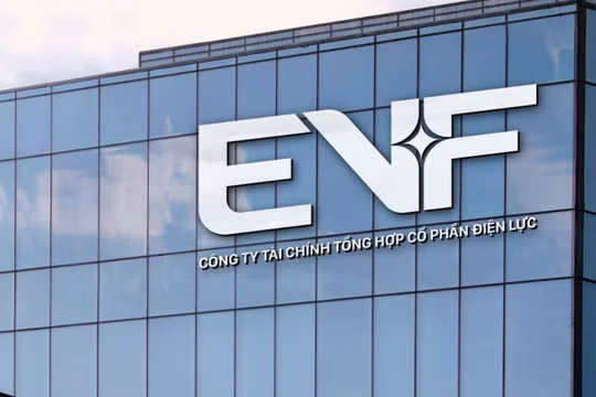 EVF đang thực hiện kế hoạch kinh doanh theo đúng lộ trình đề ra.