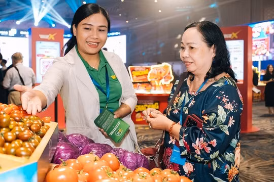 Nghịch lý định giá MSN: Vốn hóa thấp hơn giá trị tài sản, khối ngoại vẫn mua ròng mạnh từ đầu năm