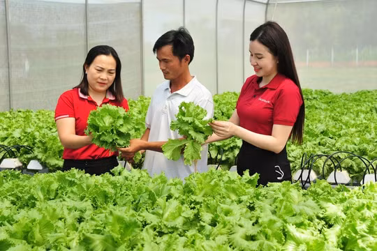 Đầu tư bổ sung vốn điều lệ cho Agribank – Tăng cường vai trò ngân hàng chủ lực phát triển “Tam nông” và nền kinh tế
