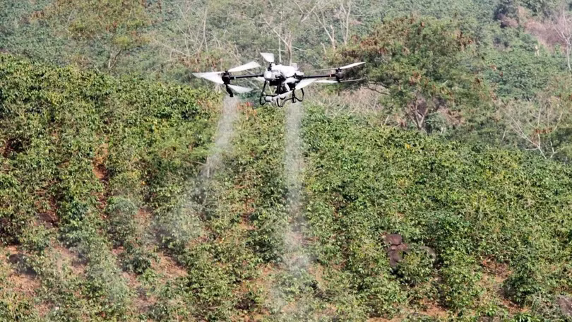 UAV phun phân bón qua lá trên cây cà phê tại hồ Ảng Cang, bản Mánh Đanh (xã Mường Ảng, tỉnh Điện Biên).