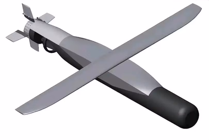 Phác họa ngư lôi chống ngầm phóng từ trên không mang tên “Silent Anvil” Mỹ đang nghiên cứu. Ảnh: Sohu. 