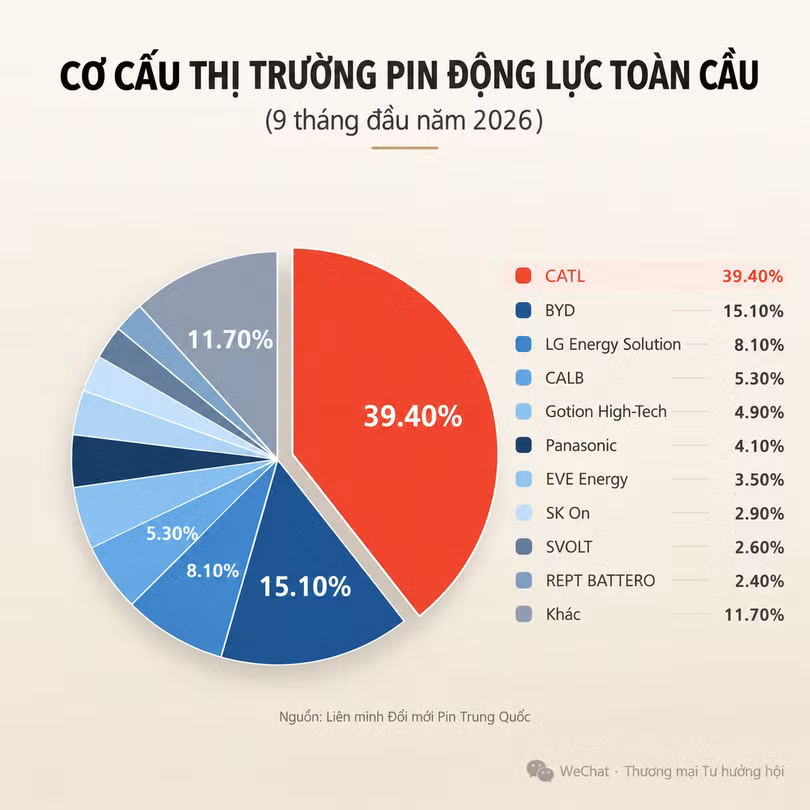 co-cau-pin-toan-cau.png