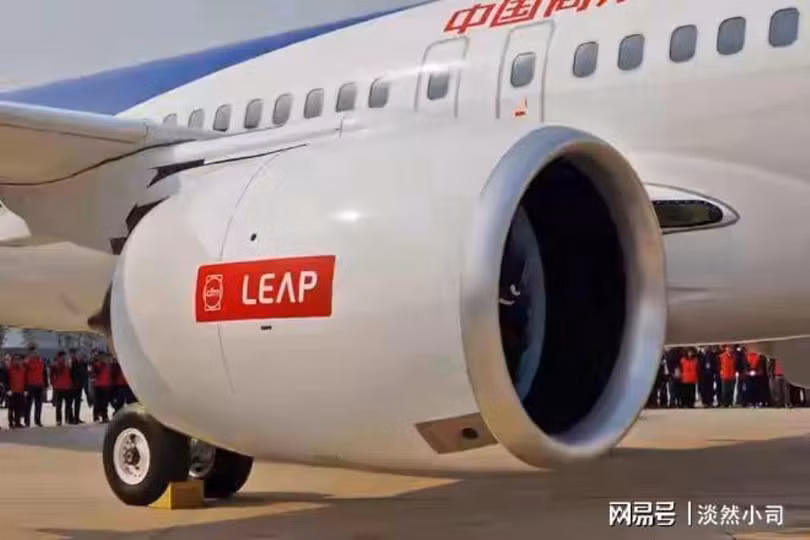 dong-co-leaf.jpg