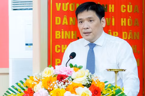 Phó trưởng ban Tổ chức Trung ương giữ chức Phó bí thư Tỉnh ủy Nghệ An