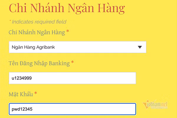 Sau khi chọn ngân hàng, gõ tên đăng nhập, mật khẩu, người dùng đã vô tình trao cho kẻ lừa đảo quyền truy cập vào tài khoản ngân hàng. Sau khi chọn ngân hàng, gõ tên đăng nhập, mật khẩu, người dùng đã vô tình trao cho kẻ lừa đảo quyền truy cập vào tài khoản ngân hàng.