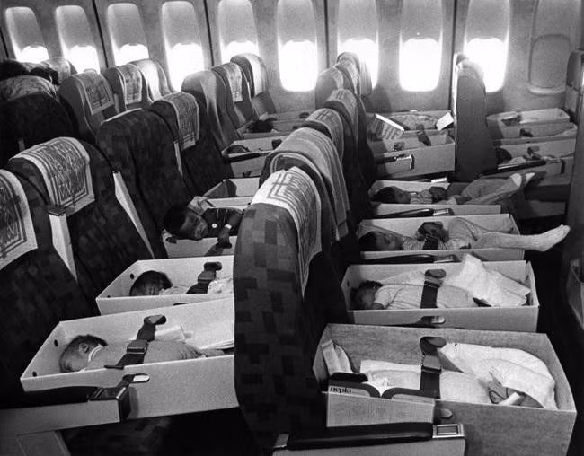 Babies on board!
