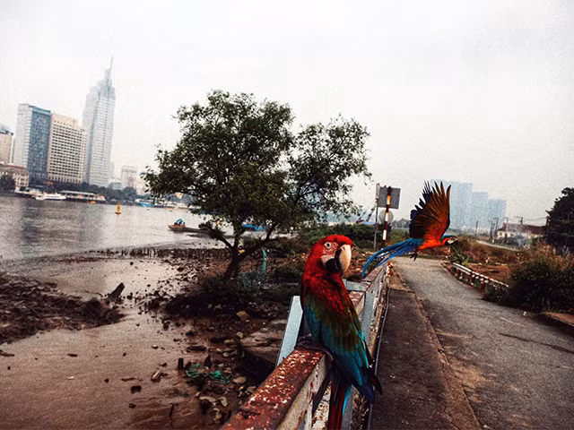 Khu đô thị mới Thủ Thiêm từng được kỳ vọng là trung tâm tài chính phố Đông của TP.HCM. Ảnh: Mai Kỳ, chụp năm 2015.