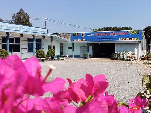 Một góc Công ty TNHH Ba Sương Thống Nhất bây giờ. Một góc Công ty TNHH Ba Sương Thống Nhất bây giờ.