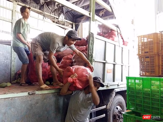 Những ngày cao điểm vào vụ xoài ở Nam Bộ, công nhân bốc vác của nhà máy làm không hết việc. Những ngày cao điểm vào vụ xoài ở Nam Bộ, công nhân bốc vác của nhà máy làm không hết việc.