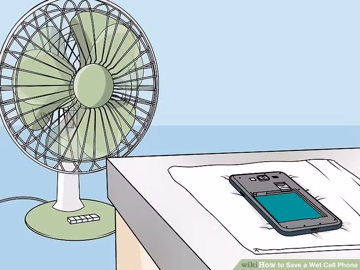 Ảnh: Wikihow