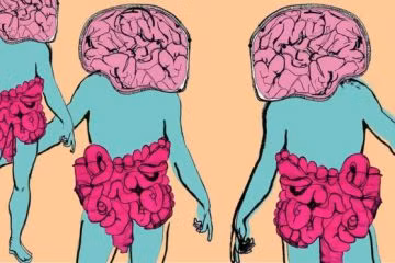 Ruột được ví như bộ não thứ hai của con người. Ảnh: Cerebio Ảnh: Cerebio