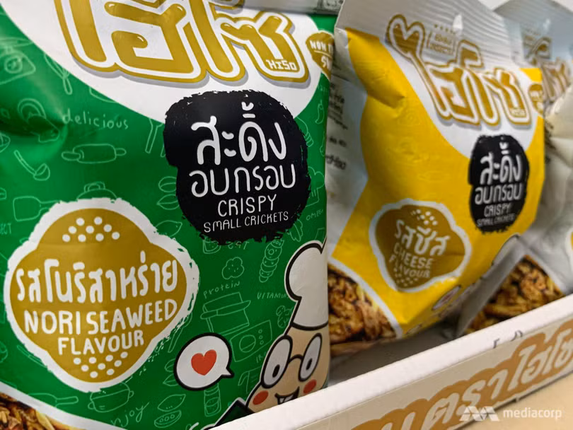 Côn trùng được sấy khô, tẩm gia vị và đóng gói như bim bim. Ảnh: CNA Côn trùng được sấy khô, tẩm gia vị và đóng gói như bim bim. Ảnh: CNA