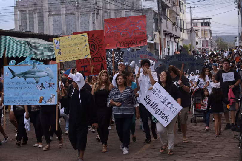 Người dân Ecuador biểu tình phản đối tàu Trung Quốc đánh bắt trái phép cá mập (Ảnh: AFP).