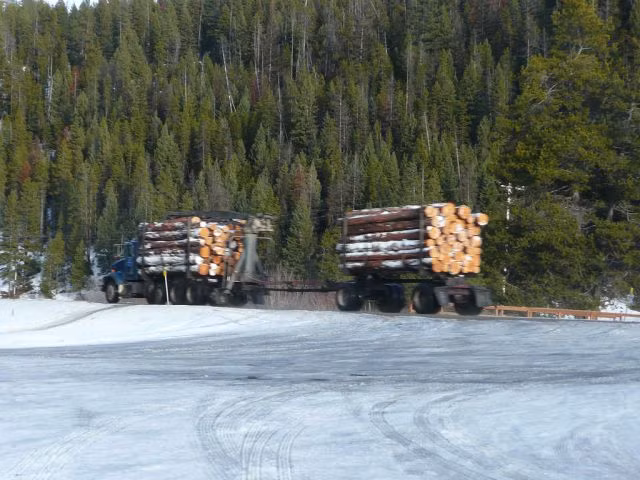 10 tài nguyên thiên nhiên sẽ sớm cạn kiệt theo thời gian ảnh 1 Forests Lumber Will Decrease