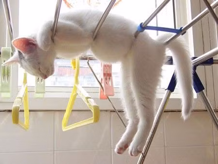 HÃ¬nh áº£nh ngÃ&nbsp;y lÆ°á»i bíaº¿ng