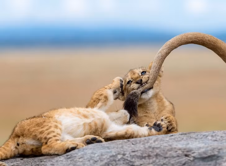 Những bức ảnh đẹp nhất năm 2018 do National Geographic bình chọn ảnh 6 Những bức ảnh đẹp nhất năm 2018 do National Geographic bình chọn ảnh 6