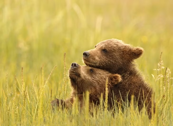Những bức ảnh đẹp nhất năm 2018 do National Geographic bình chọn ảnh 2 Những bức ảnh đẹp nhất năm 2018 do National Geographic bình chọn ảnh 2