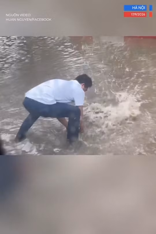 Video bắt được cá to giữa phố Hà Nội "viral", người ghi hình nói gì? 