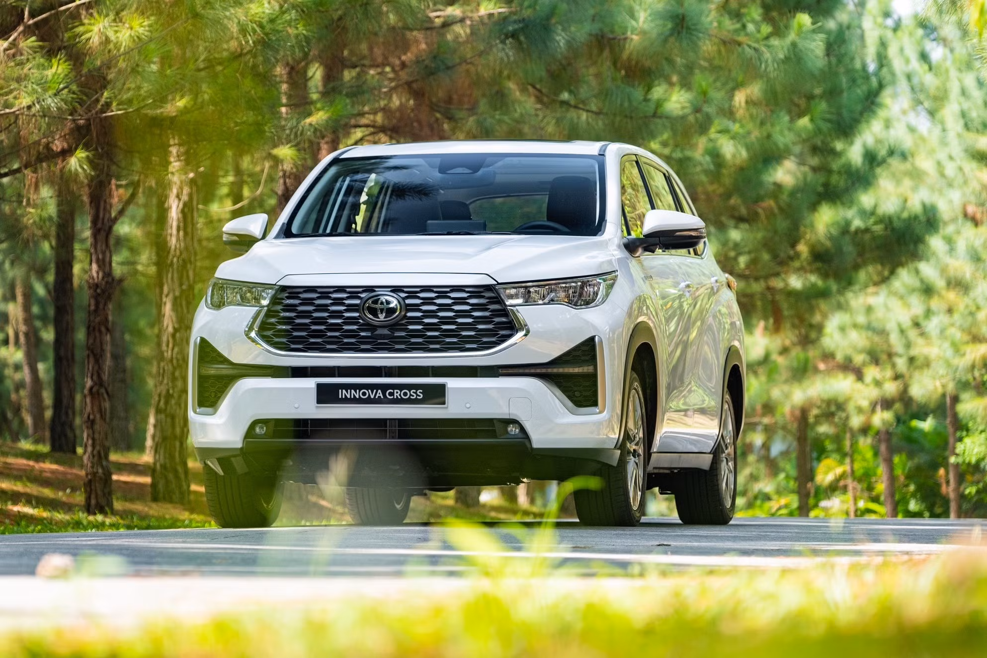 innova-cross.jpg