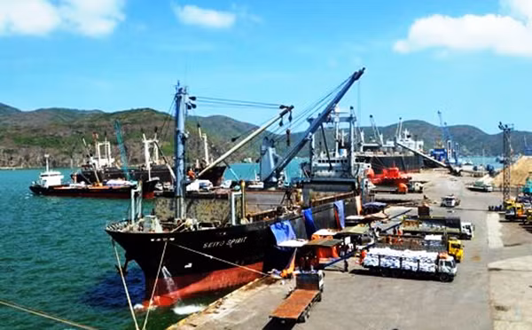 Chính phủ yêu cầu Thanh tra toàn diện việc cổ phần hóa cảng Quy Nhơn