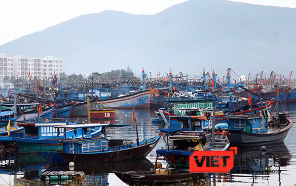 Tính đến sáng 14/9, Đà Nẵng đã thông tin cho 1.619 phương tiện/7.152 lao động được biết diễn biến của bão số 10. Kêu gọi 1.457 phương tiện/5.840 lao động về bờ neo đậu, số phương tiện còn hoạt động trên biển là 162/1.312 lao động đã nắm thông tin, đường đ