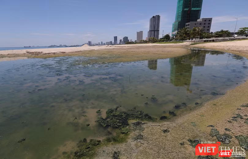 Và hệ lụy thì biển phải gánh chịu