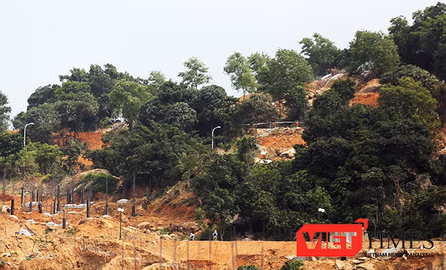 VietTimes, Đà Nẵng, Sơn Trà, phá rừng, Chủ tịch UBND TP, dự án, băm nát, biệt thự nghỉ dưỡng