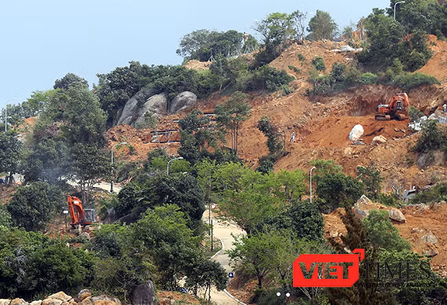 VietTimes, rừng Sơn Trà, bị đào xới, phá rừng, khu du lịch, Đà Nẵng