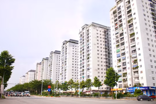 Dự án Khu đô thị Thanh Hà Cienco 5. Ảnh: Nhật Minh. 